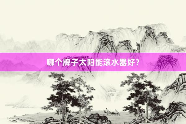 哪个牌子太阳能滚水器好？
