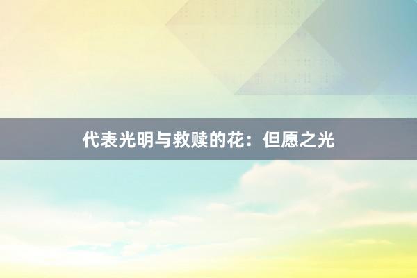 代表光明与救赎的花：但愿之光