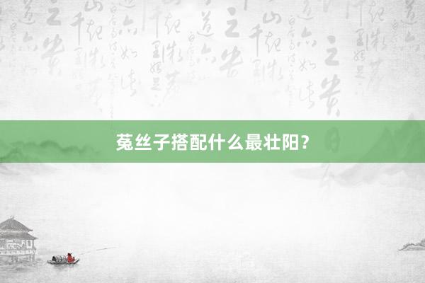 菟丝子搭配什么最壮阳？
