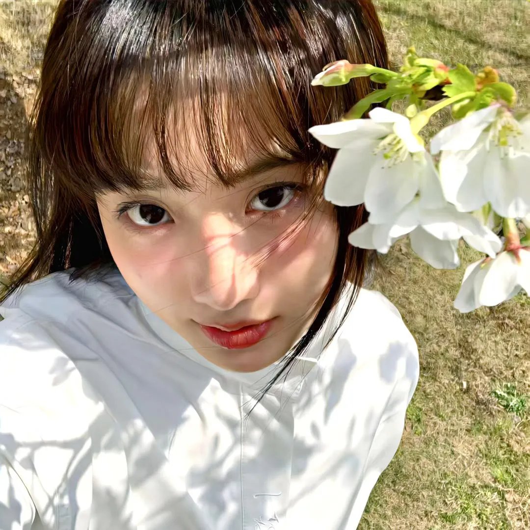 没有小鸟的天空
